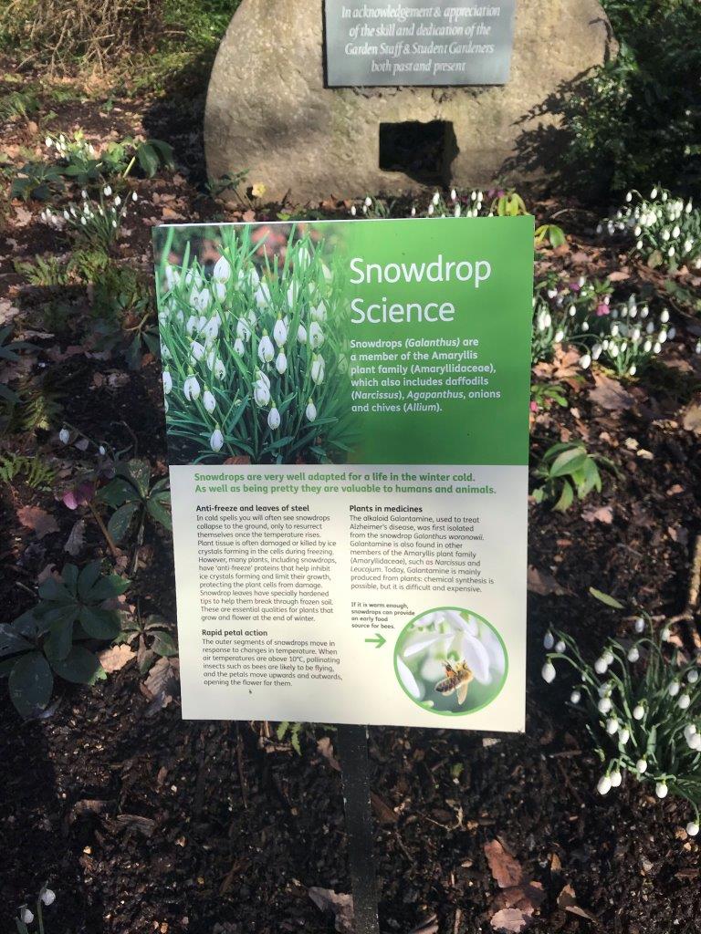 Cambridge Botanic Garden In Winter – The Cambridge Placebook