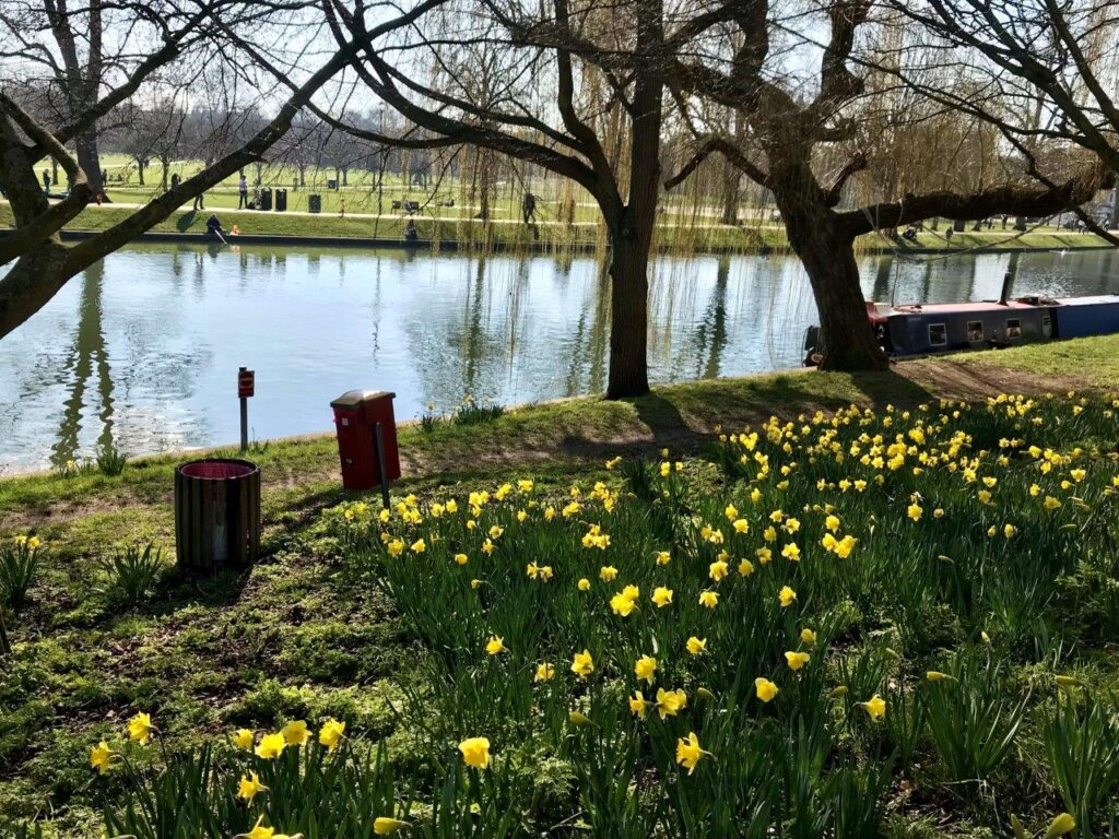 Here Comes the Sun: Jesus Green, Midsummer Common, and the Lower Cam ...