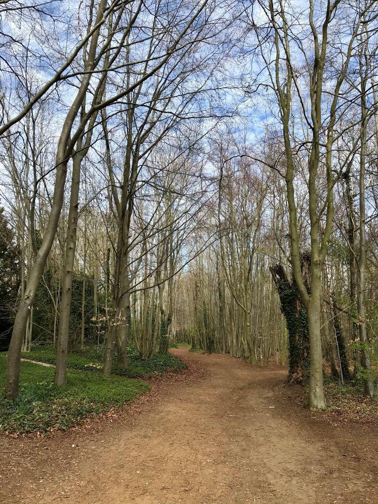 Gog Magog Hills ~ Wandlebury and Magog Down – The Cambridge Placebook